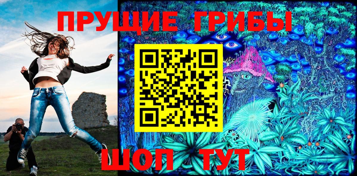 Галлюциногенные грибы Psilocybine cubensis Новотроицк