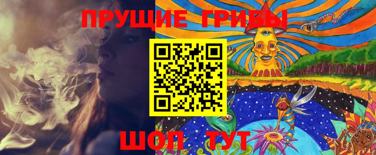 закладка  Псилоцибиновые грибы Cubensis  Вход с VPN  Новотроицк  Галлюциногенные грибы GOLDEN TEACHER 